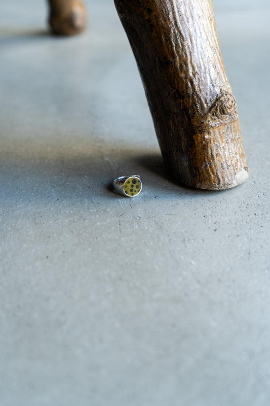 DICT Silver 925 glass coating design